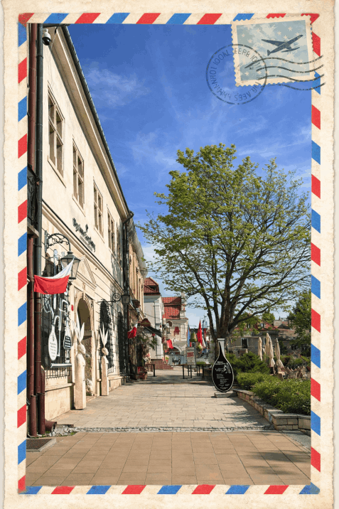 Michał Leszczyński przewodnik Sandomierz