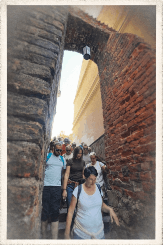 Przewodnik Sandomierzu oprowadzanie wycieczek